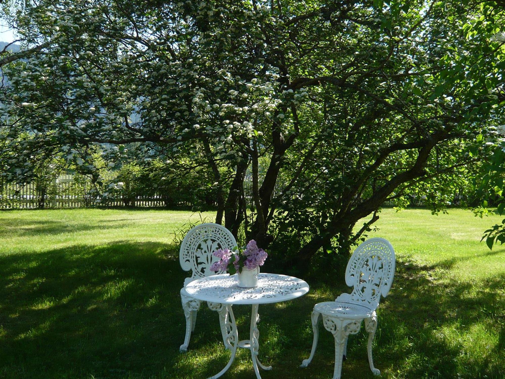 Hagaled Gjestegård * Nesbyen
